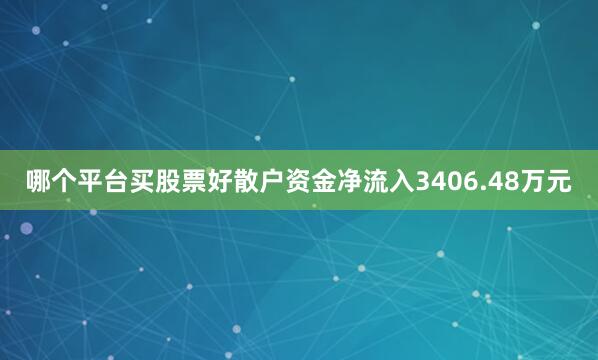 哪个平台买股票好散户资金净流入3406.48万元