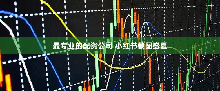 最专业的配资公司 小红书截图　　盛夏